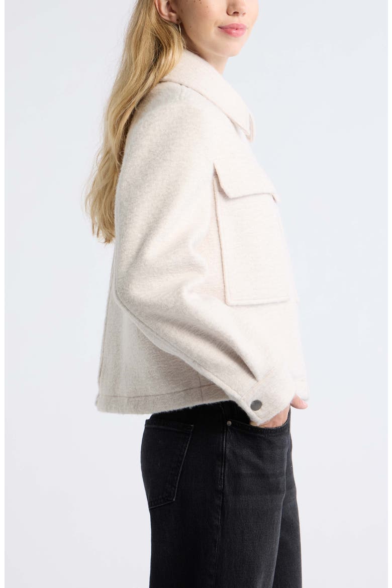 Cropped Textured Jacket, Alternate, color, BEIGE SILVER