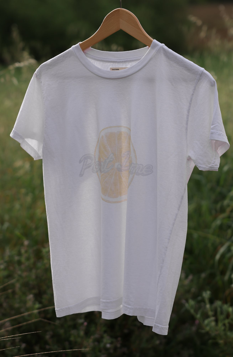 CALIFORNIA INCLINE Point Dume Citrus Tee, Alternate, color, Salt