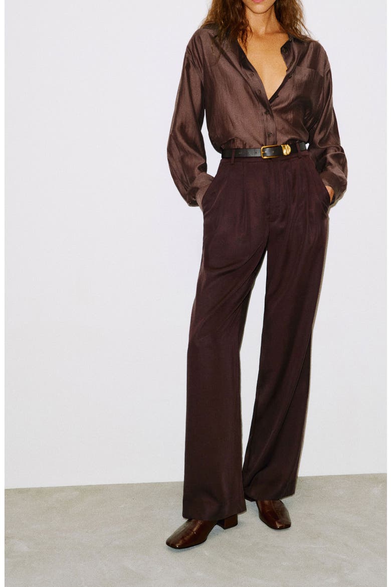 Eli Oversized Shirt, Alternate, color, SHEER BROWN
