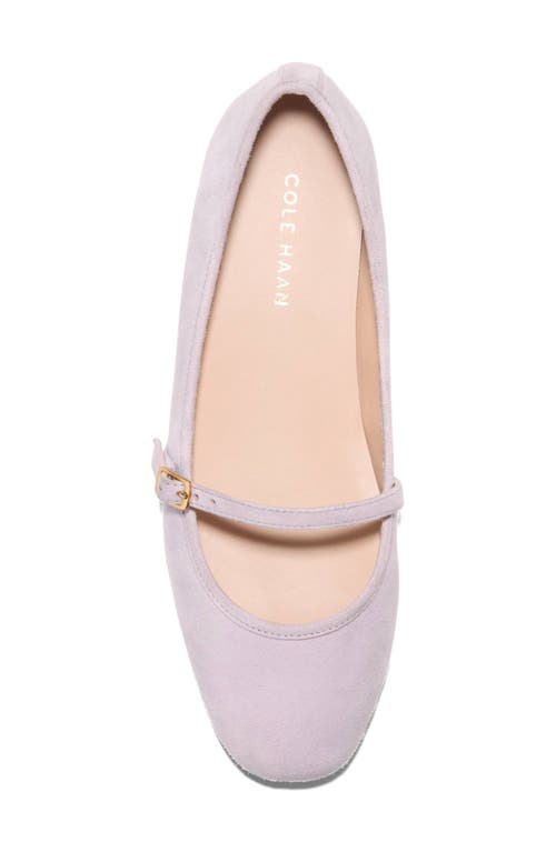 Cole Haan Yelena Mary Jane Ballet Flat In Thistle Suede