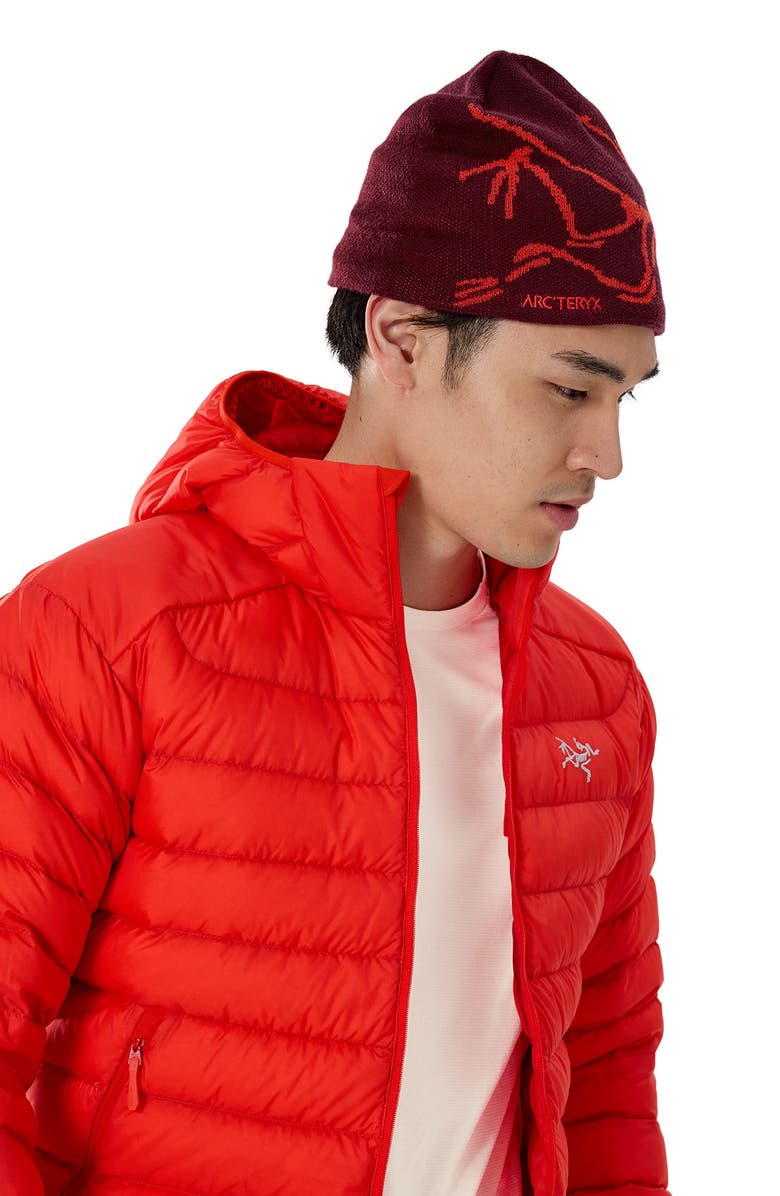 Arc'teryx Bird Head Merino Wool Blend Beanie, Alternate, color, Mars / Dynasty