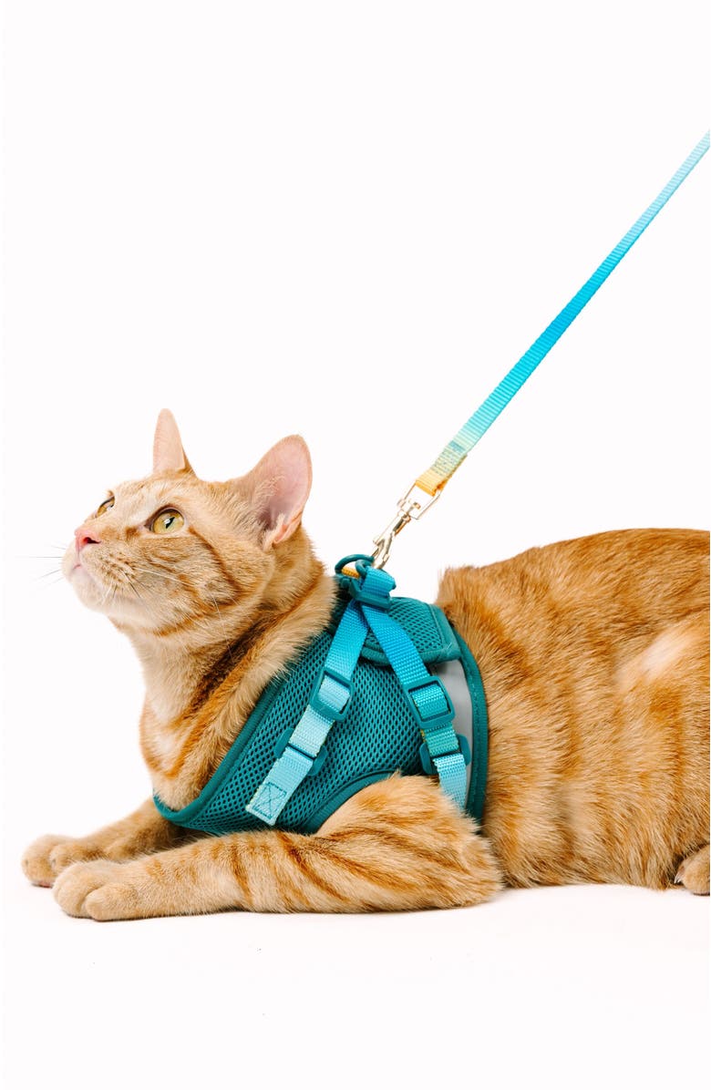 Pink Papyrus Joey Cat Harness and Leash Set, Alternate, color, Joey