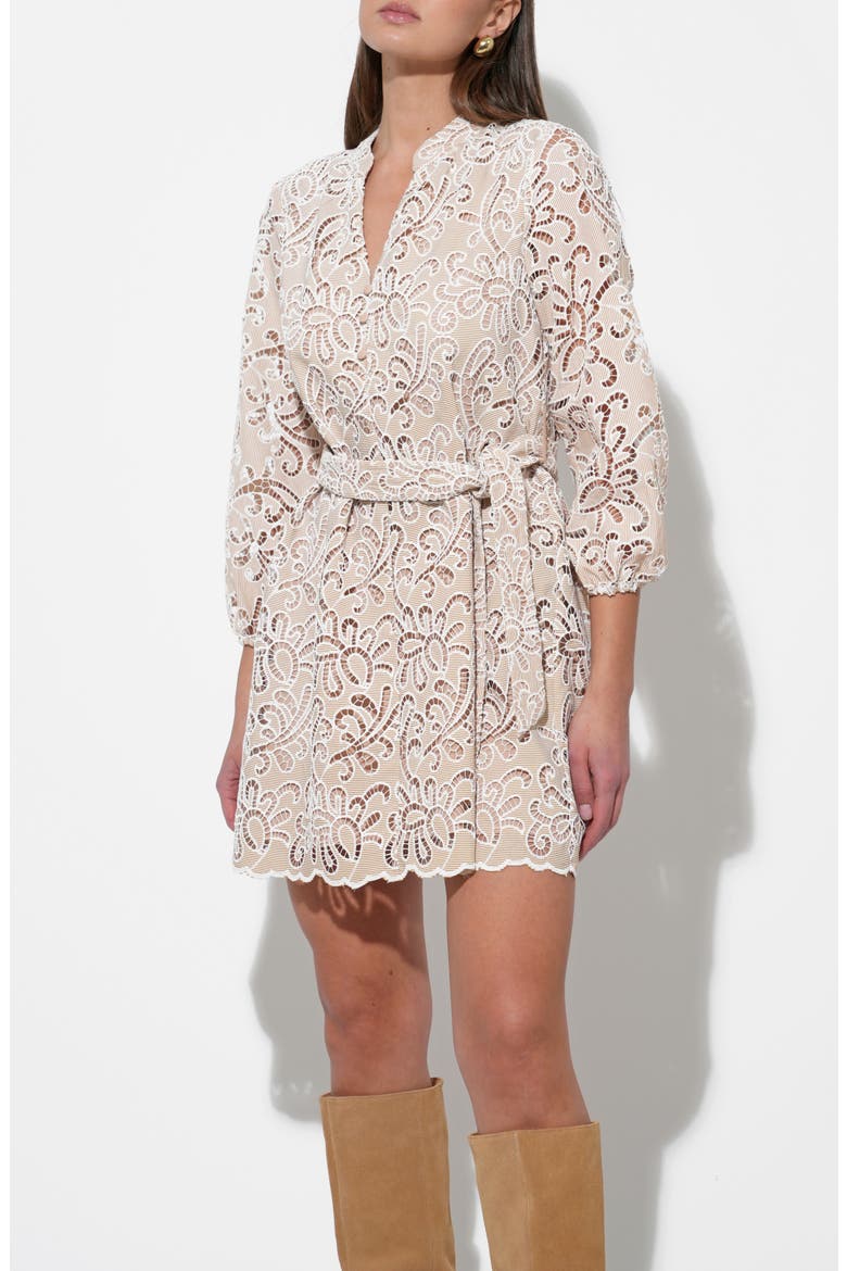 Lina Embroidered Minidress, Alternate, color, NATURAL