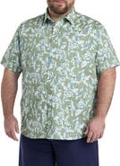 True Nation by DXL Big & Tall Floral Sport Shirt