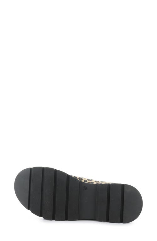 Bos. & Co. Cipher Slingback Platform Sandal In Leopard