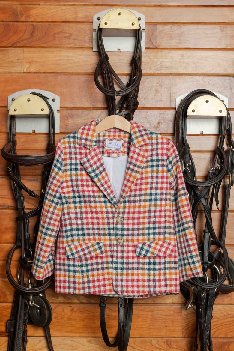 Plaid Blazer, Alternate, color, Multicolor Plaid