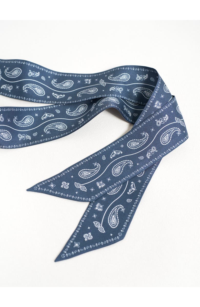 Lost Pattern "Paisley" Silk Twill Skinny Scarf, Alternate, color, Midnight Blue