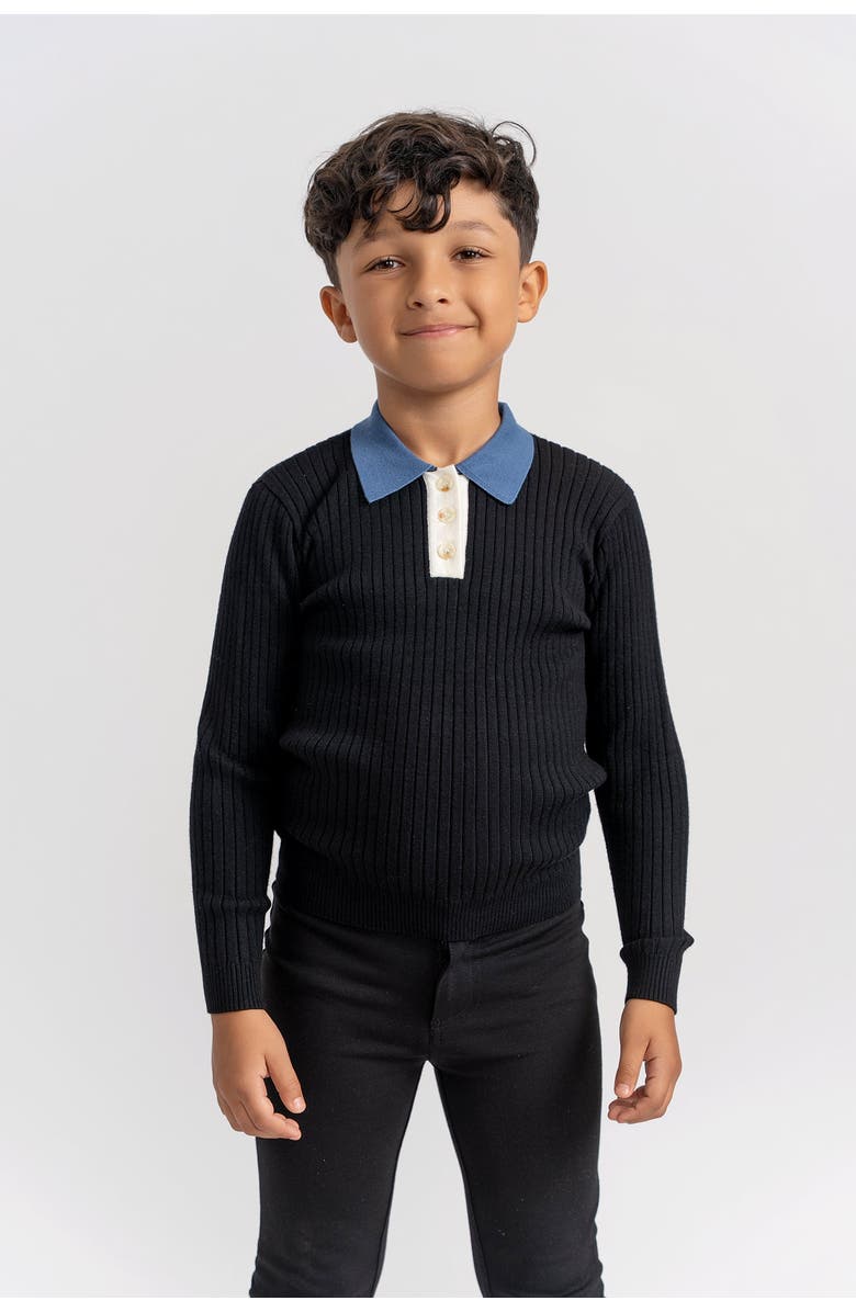 Clô Multi Polo Rib Sweater, Alternate, color, Charcoal Mix