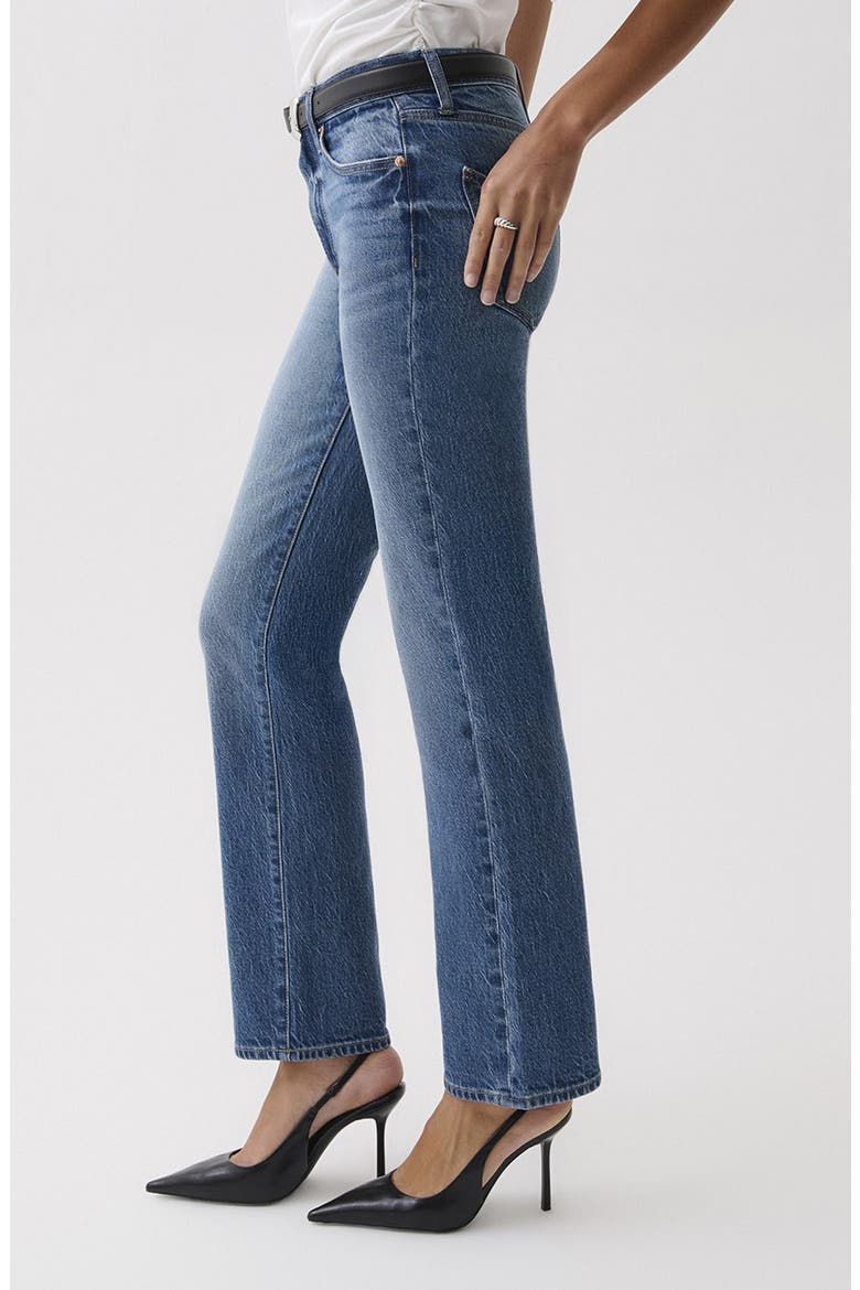 Aleks Ankle Straight Leg Jeans, Alternate, color, SEA SALT