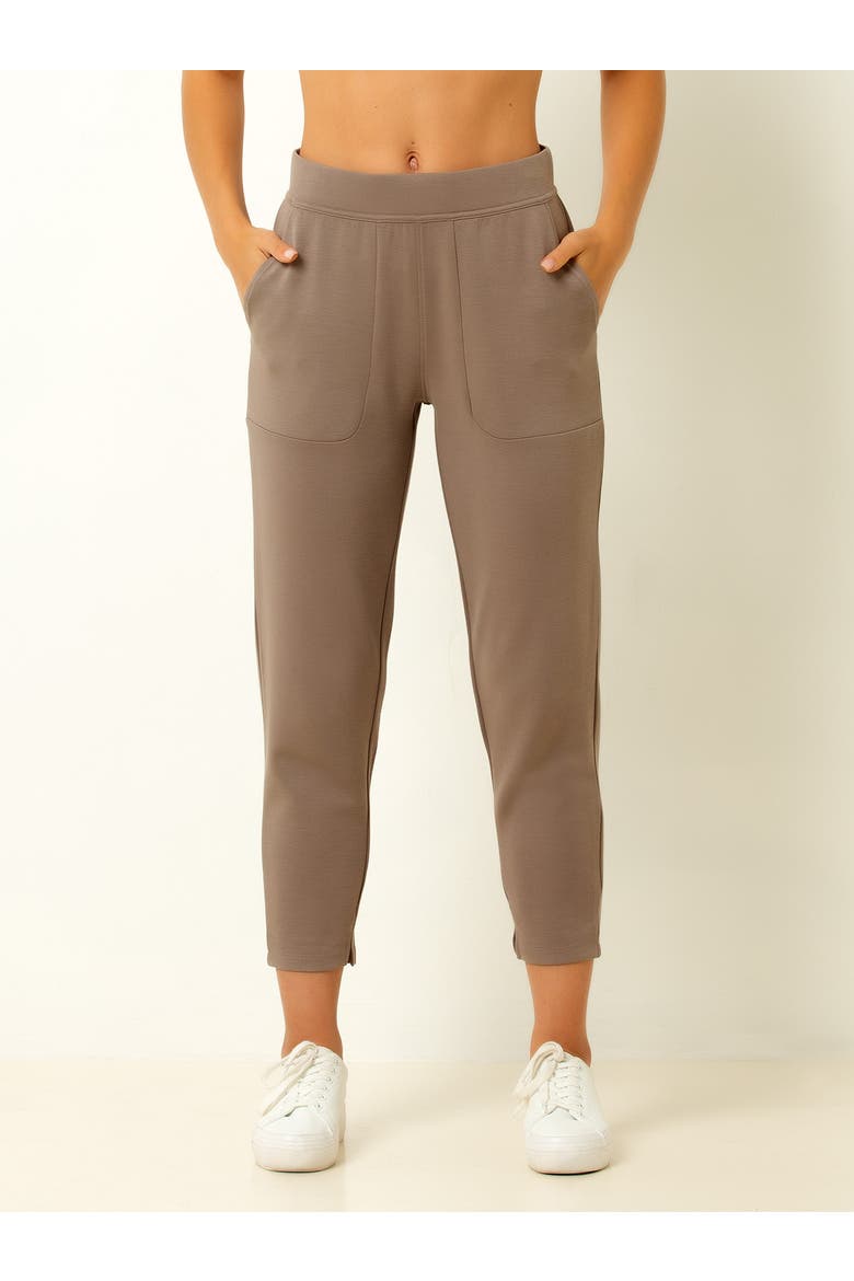 Ultra Soft Jogger, Main, color, Walnut