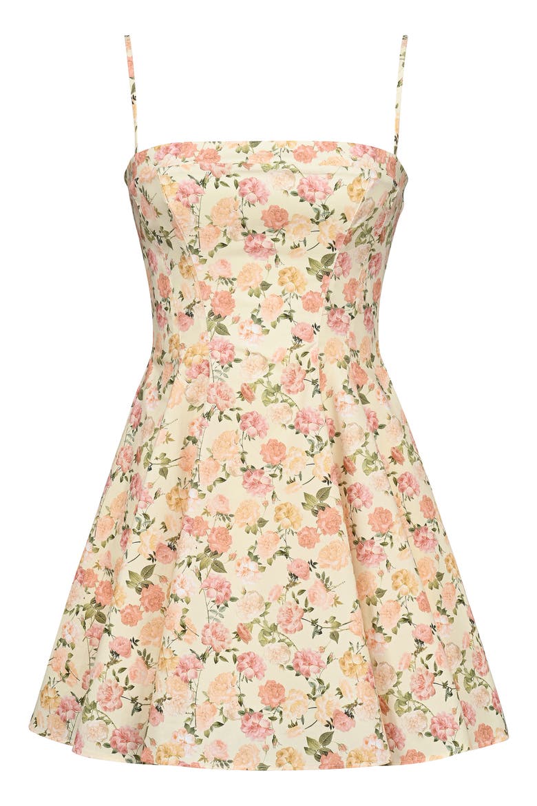 Dolly Rose Print Stretch Cotton Fit & Flare Minidress (Women