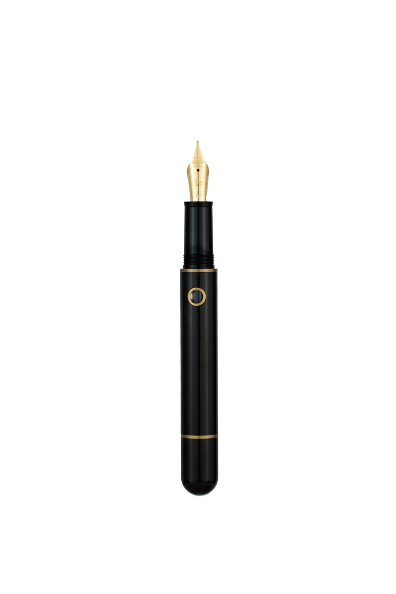 Nautilus Bronze Corydoras Ebonite Fountain Pen, Alternate, color, Black Medium