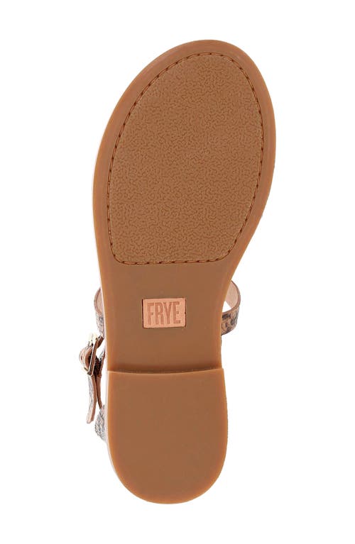Frye Taylor Snake Print Ankle Strap Sandal In Brown Multi
