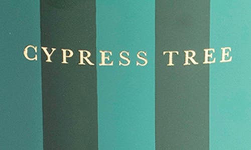 Brooklyn Candle Studio Cypress Tree Holiday Candle In Green