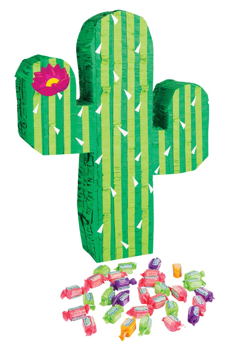Sunnylife Cactus Piñata, Main, color,