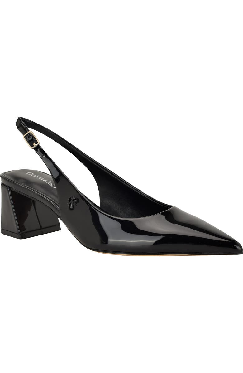 Calvin Klein Sarra Slingback Pointed Toe Pump, Main, color,
