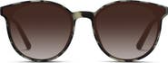 WMP Eyewear Aubrie - 53mm Rounded Cat-Eye Polarized Sunglasses