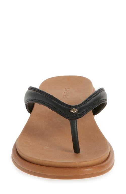 Sperry Isla Flip Flop In Black Leather Smooth