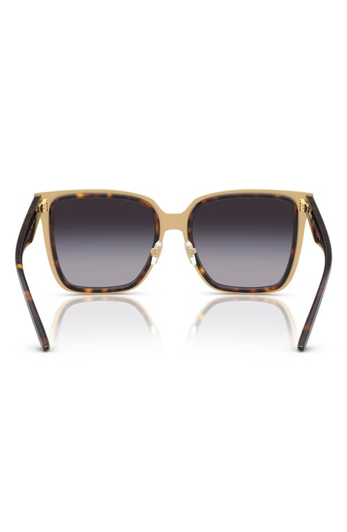 Versace 58mm Butterfly Sunglasses In Havana