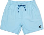 Hurley Icon Balboa Board Shorts