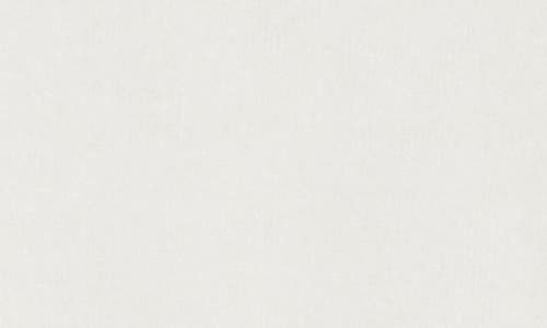 Renee C Brushed Knit Long Sleeve Top In White