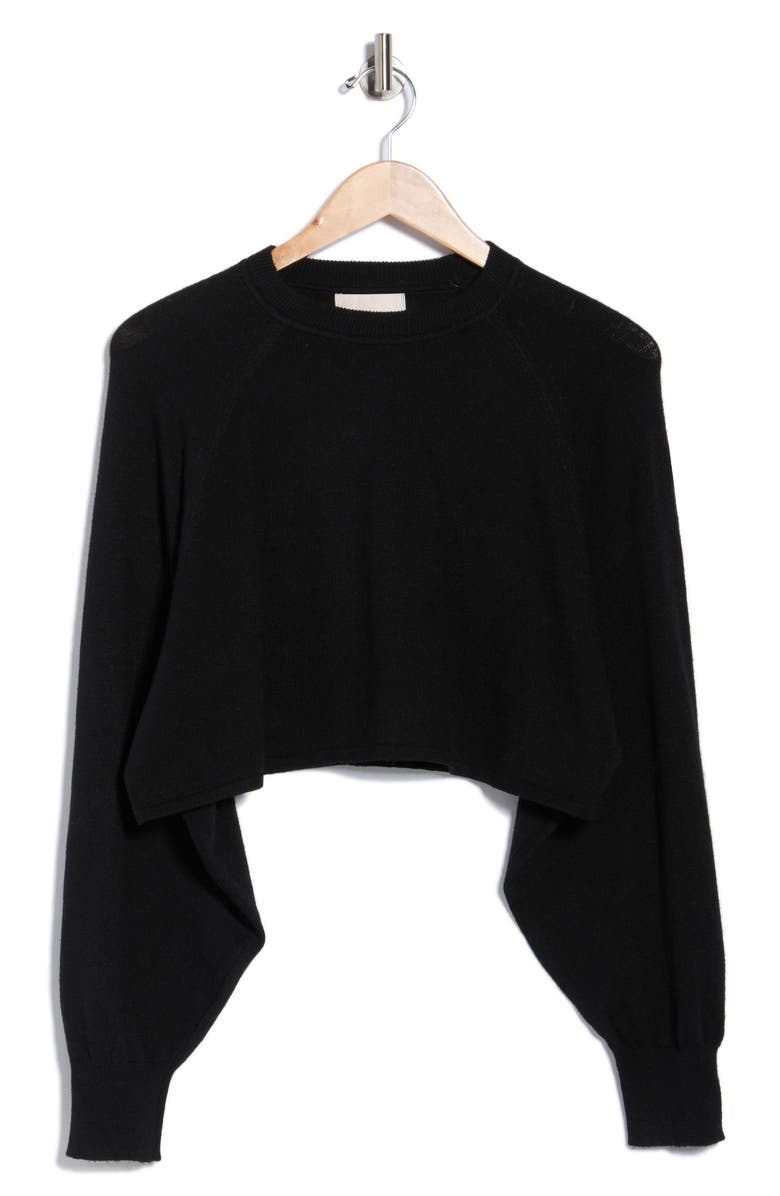INDUSTRY REPUBLIC CLOTHING Raglan Sleeve Crop Sweater, Alternate, color, Black