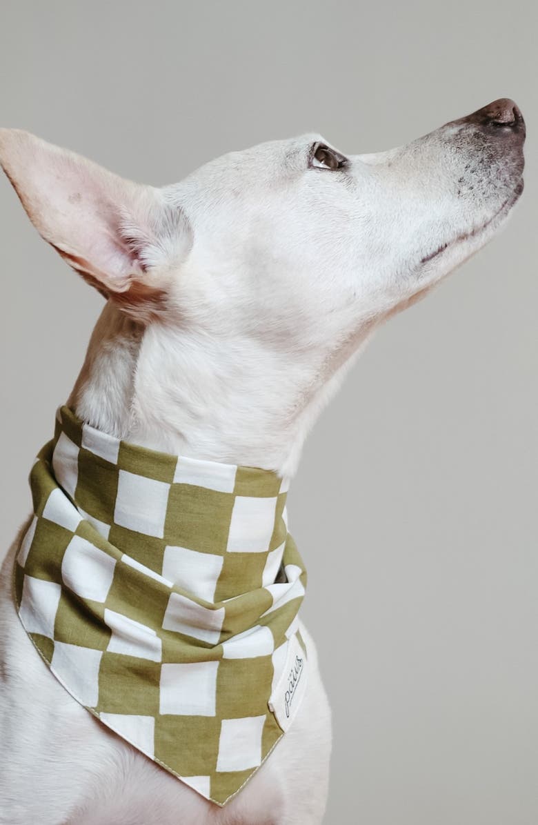 The Paws Checkmate Dog Bandana, Alternate, color, Green