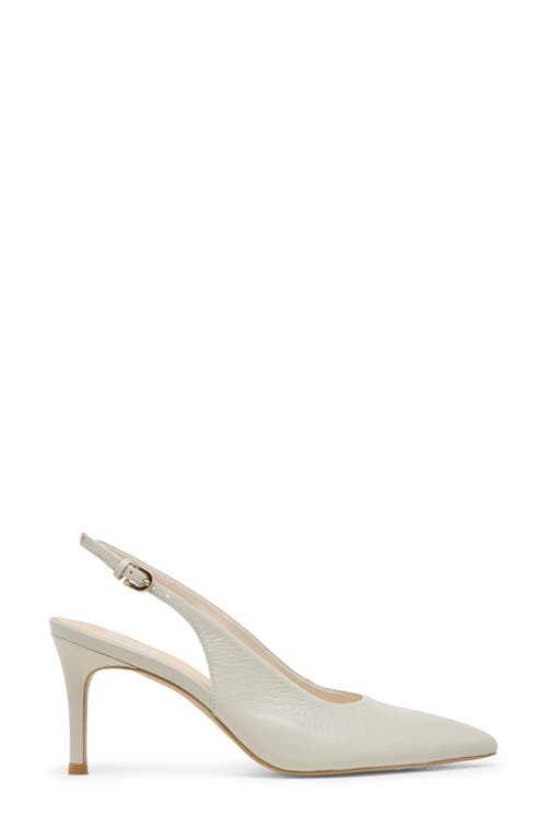 Dolce Vita Elasi Pointed Toe Slingback Pump