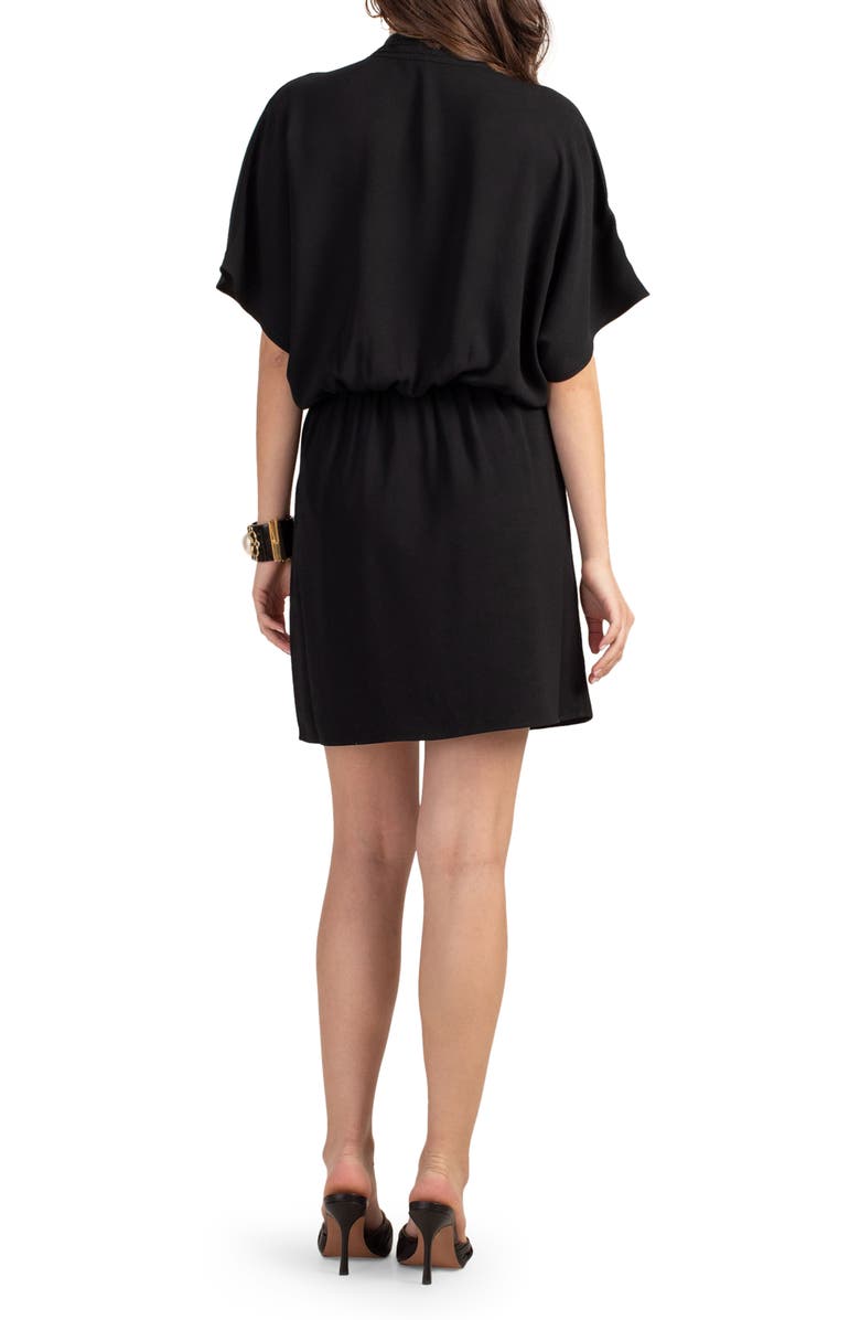 Trina Turk Concourse Dolman Sleeve Dress, Alternate, color, 
