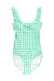 selected Spring Green Gingham