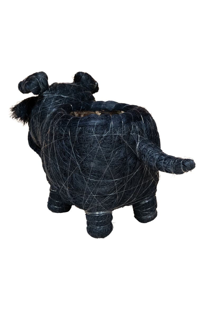 Baby Schnauzer Handwoven Planter, Alternate, color, BLACK