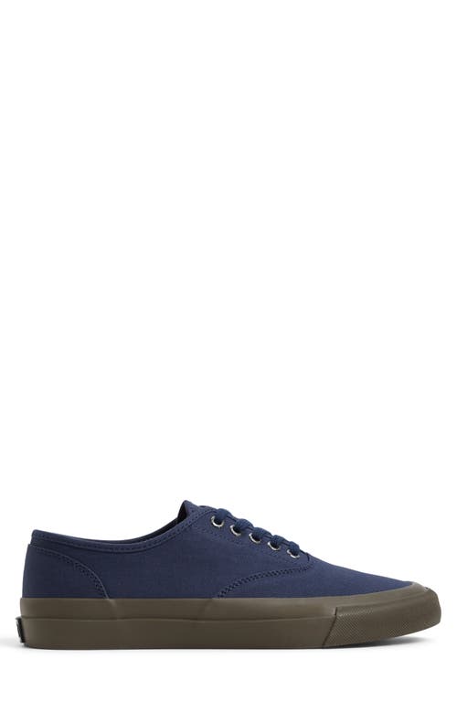 Sperry Top Sider Cvo Sneaker In Blue