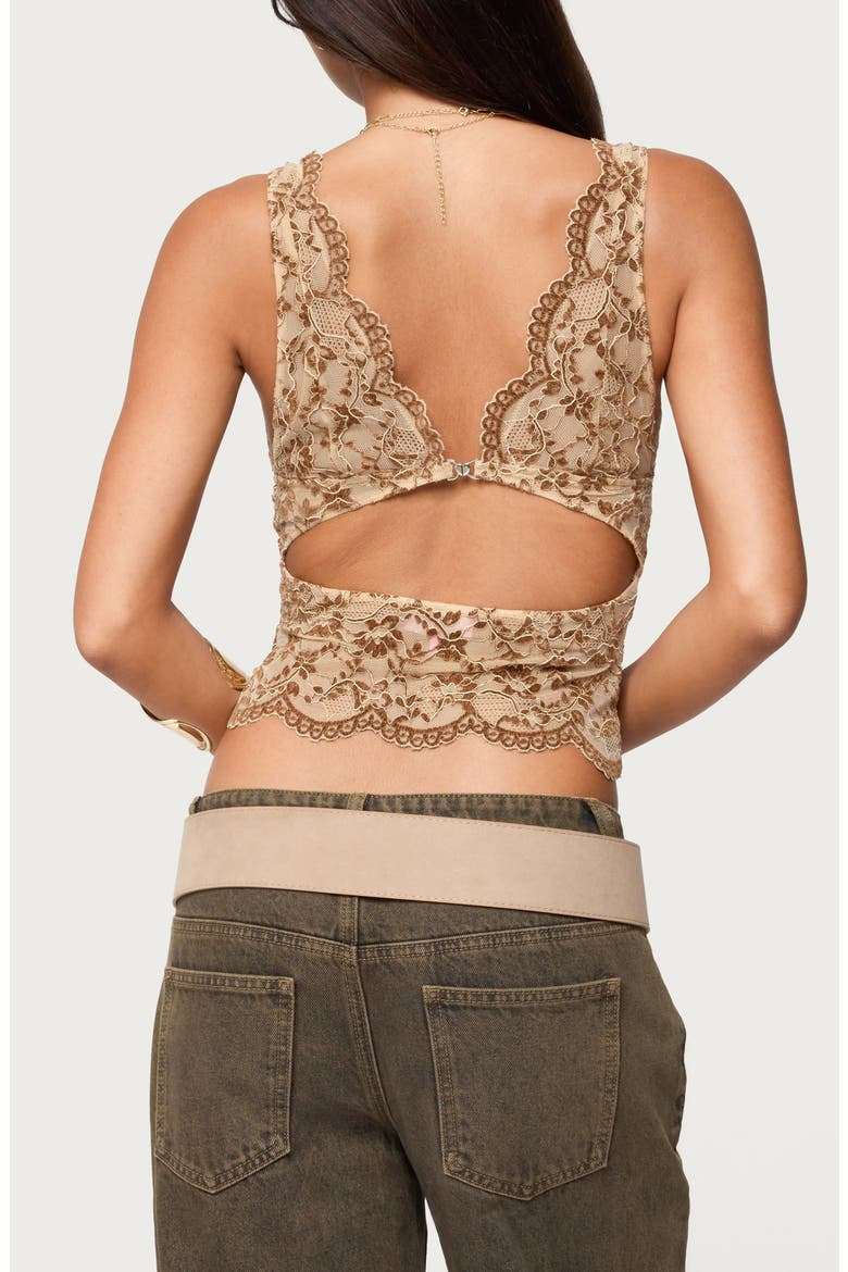 Araura Floral Sheer Crop Top, Alternate, color, BROWN