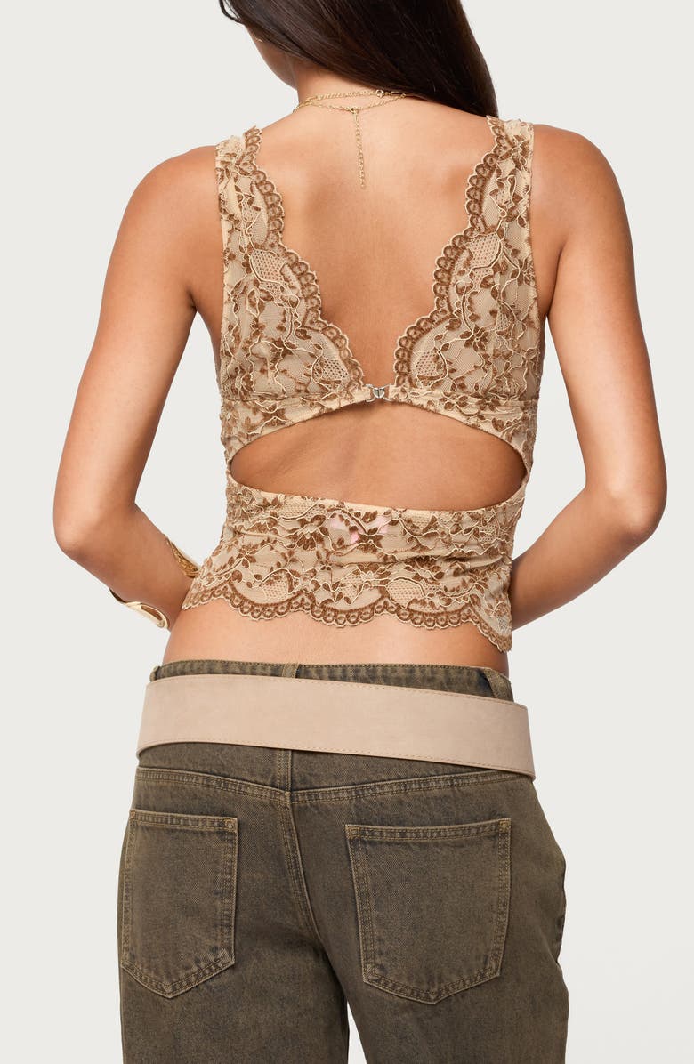EDIKTED Araura Floral Sheer Crop Top, Alternate, color, Brown