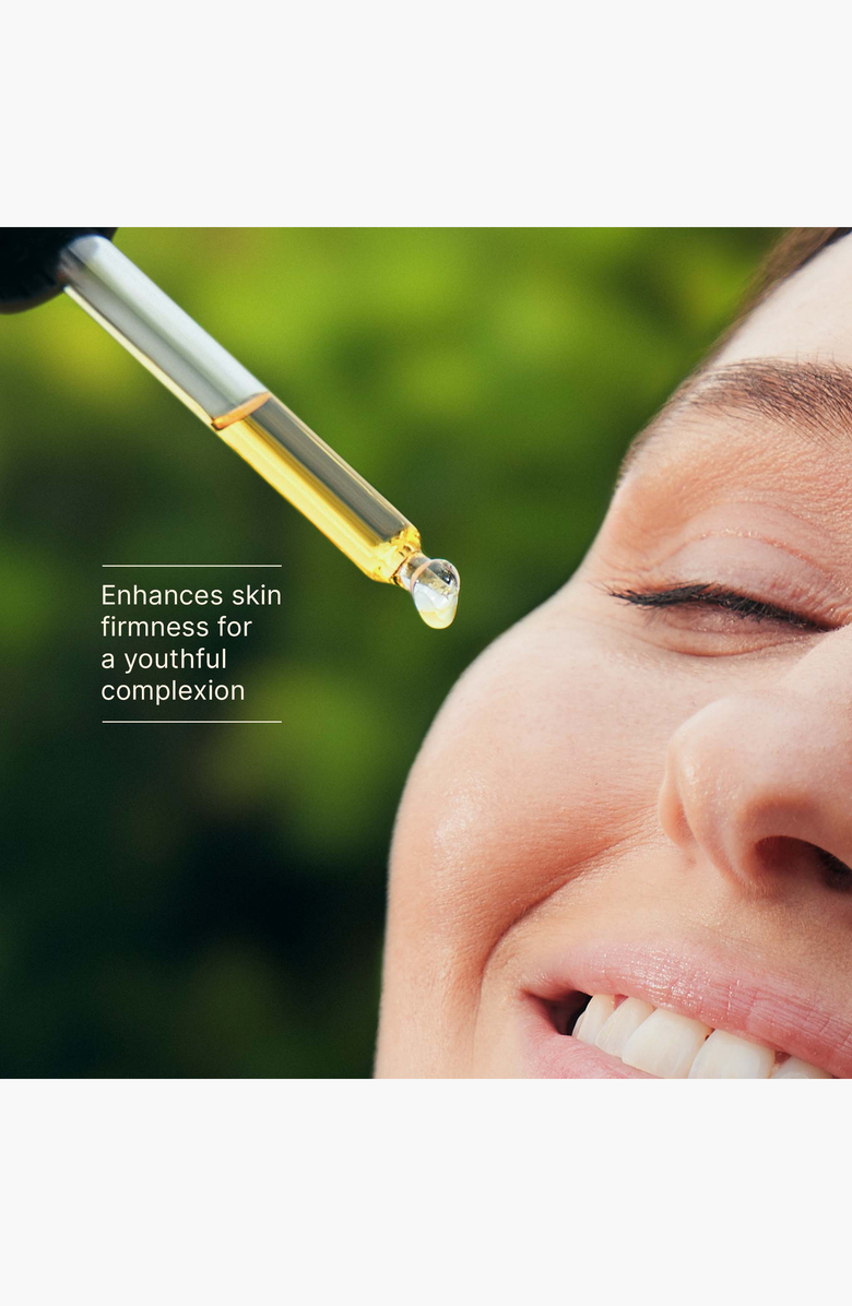 JURLIQUE Herbal Recovery Face Oil, Alternate, color, NO COLOR