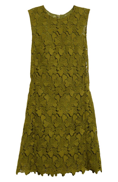 Giambattista Valli Floral Lace Sleeveless Mini Dress In Green