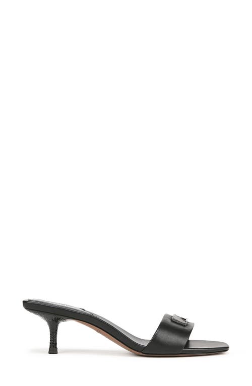 Franco Sarto Roey Sandal In Black