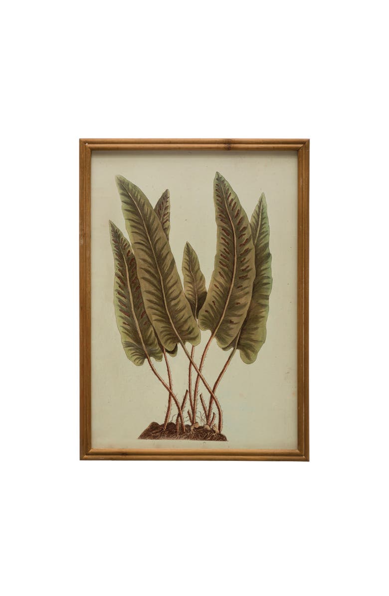 Storied Home Wood Framed Botanical Print with Glass Cover, Main, color, Green