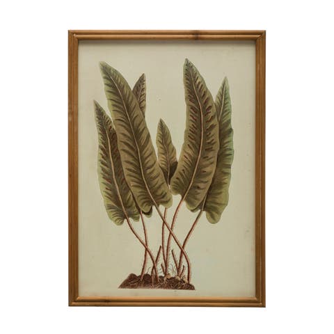Wood Framed Botanical Print with Glass Cover