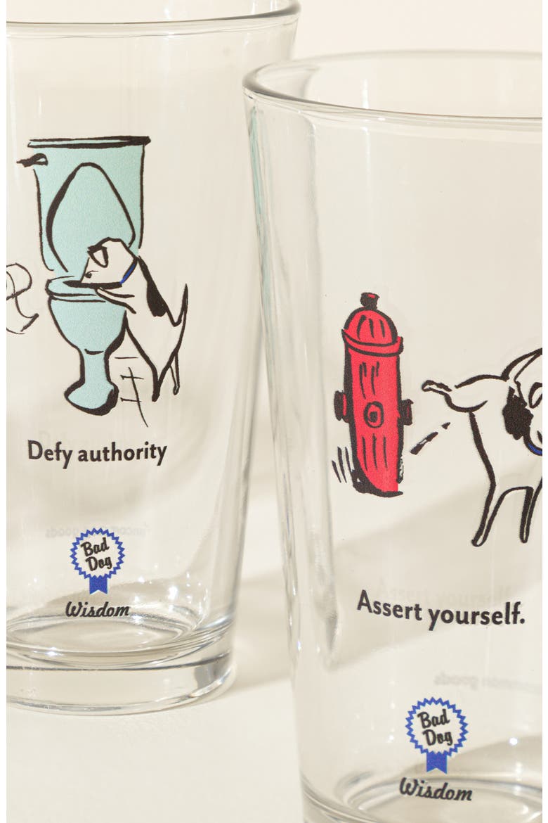 Bad Dog Wisdom Tumblers, Alternate, color, Multi