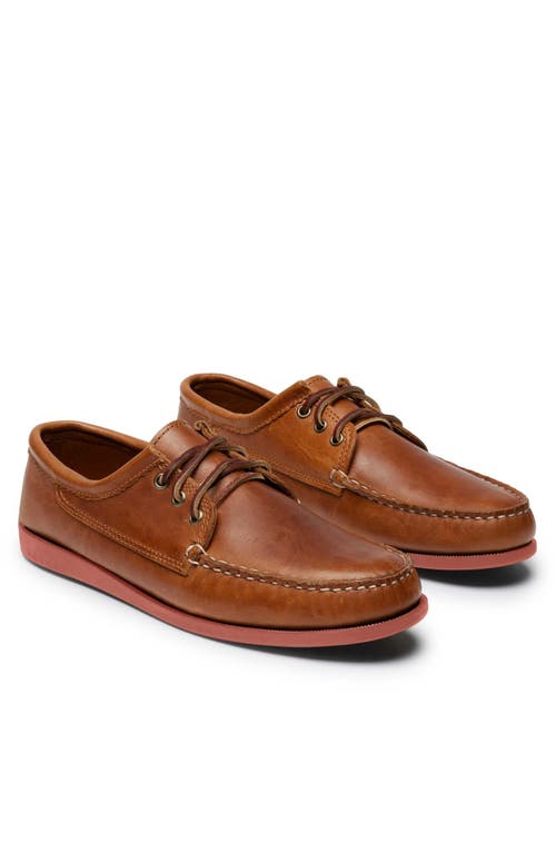 Quoddy Blucher Shoe In Brown