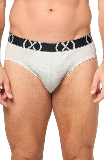 2(x)ist 4-pack Briefs In Gray