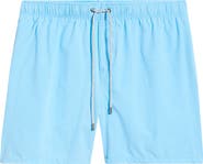 Vintage Summer Vintage Wash Water Repellent Stretch Volley Swim Trunks