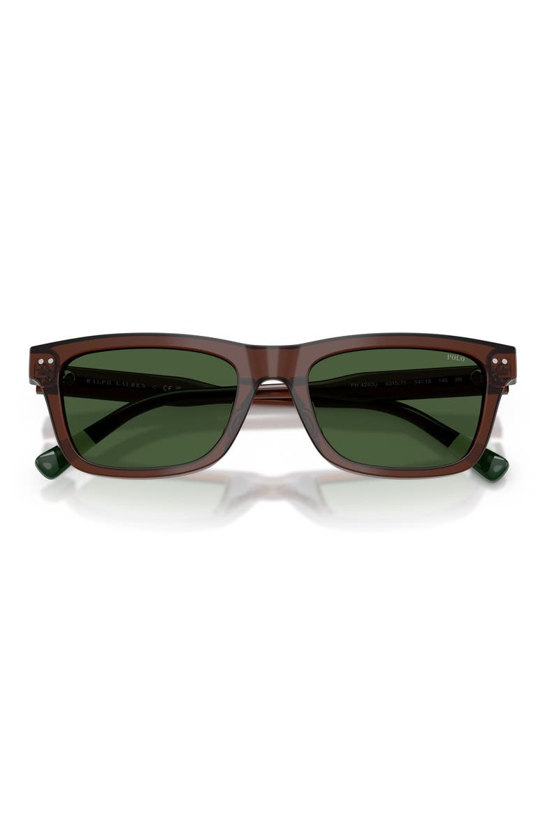 54mm Phantos Sunglasses, Alternate, color, TRANSPARENT BROWN / GREEN