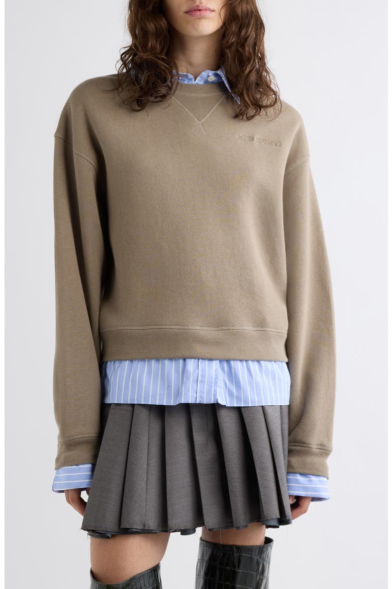 Finten C Organic Cotton Sweatshirt, Main, color, BEIGE/ BLUE