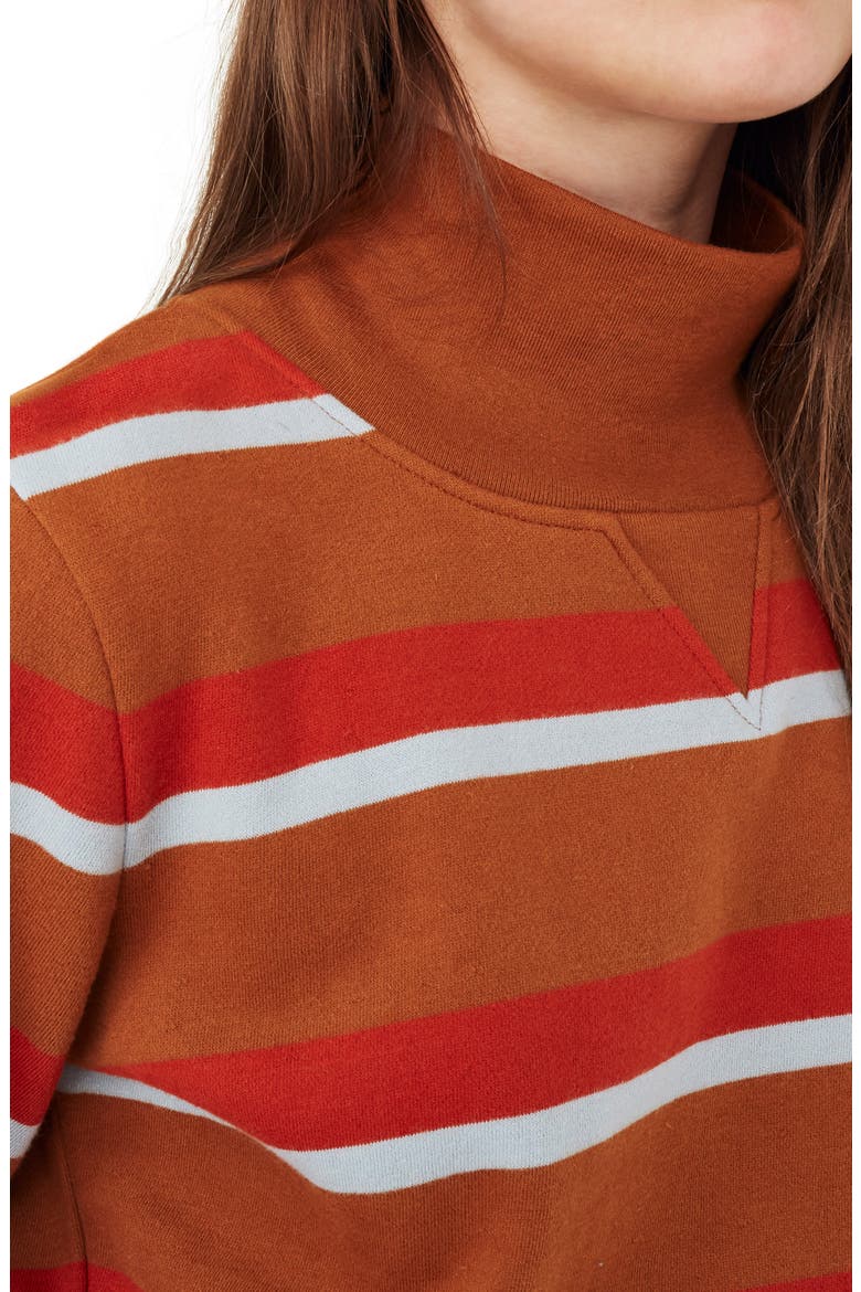 Stripe Turtleneck Sweatshirt, Alternate, color, BURNT SIENNA