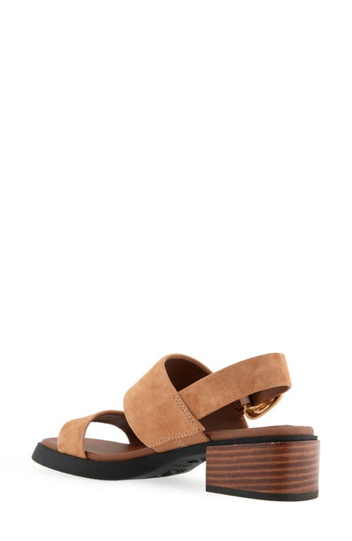 AEROSOLES AEROSOLES DANTAY SLINGBACK SANDAL 