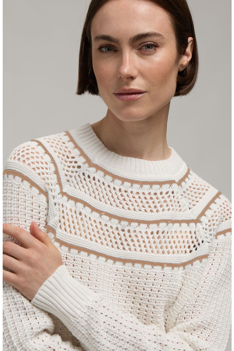 Pointelle Knit Cotton Sweater, Alternate, color, SNOW-WHITE