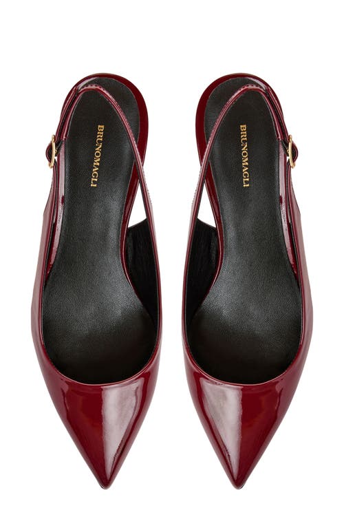 Bruno Magli Palerma Pointed Toe Kitten Heel Slingback Pump In Burgundy