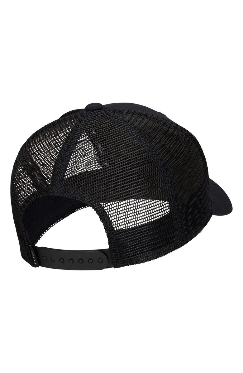 Jordan Rise Structured Trucker Hat, Alternate, color,